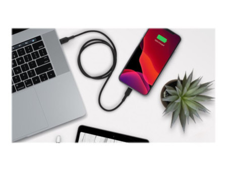 BELKIN Cable USB-C vers Lightning 1m
