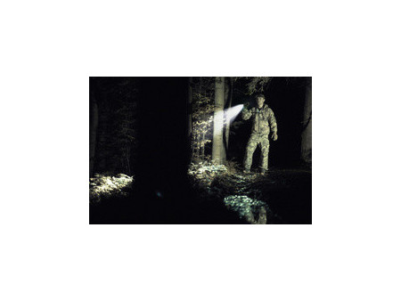 ANSMANN Lampe de poche LED rechargeable Survival TS3000RF