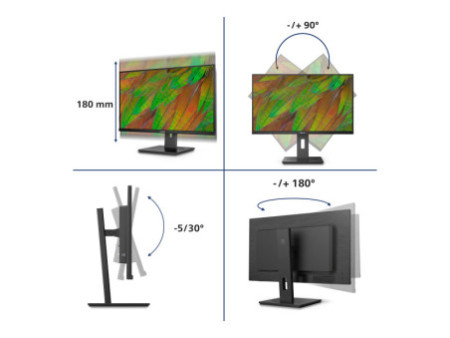 PHILIPS 32B1N3800/00 Ecran 31.5p UHD LED