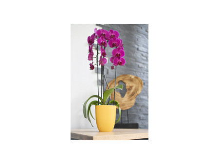 EDA Cache-pot IRIS, diamètre: 125 mm, curcuma