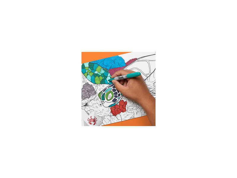 Sharpie Marqueur permanent FINE, Holiday Pack de 25
