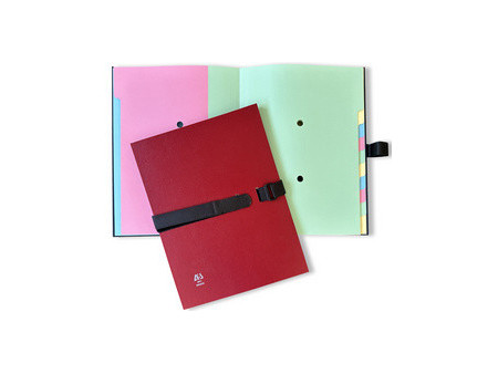 Arianex by extendos Trieur SANGLEX, 12 compartiments, rouge