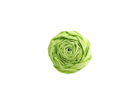 Clairefontaine Papier crépon, (l)500 mm x (L)2 m, vert pomme