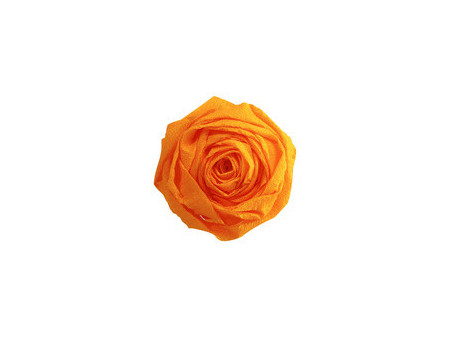 Clairefontaine Papier crépon, (l)500 mm x (L)2 m, ivoire