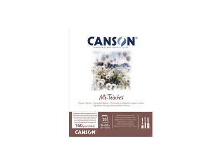 CANSON Papier beaux-arts Mi-Teintes, en bloc, 240 x 320 mm