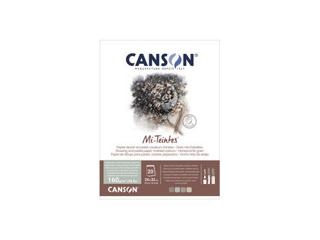 CANSON Papier beaux-arts Mi-Teintes, en bloc, 320 x 410 mm