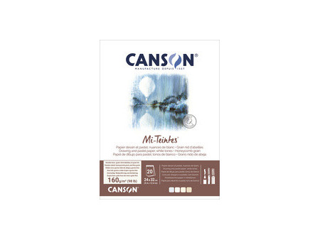 CANSON Papier beaux-arts Mi-Teintes, en bloc, 320 x 410 mm