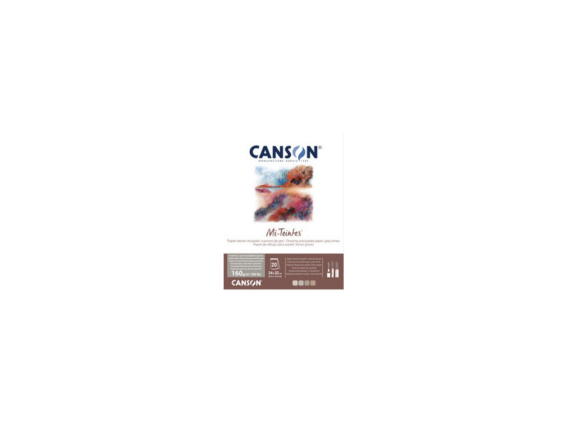 CANSON Papier beaux-arts Mi-Teintes, en bloc, 320 x 410 mm