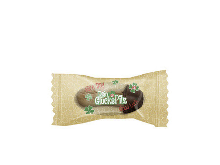 HELLMA Biscuit au chocolat 'Glückspilze', dans un carton