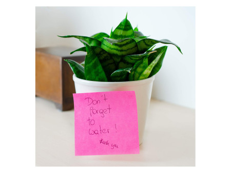 Kores Bloc-note cube, 50 x 50 mm, couleurs fluo, 4 couleurs