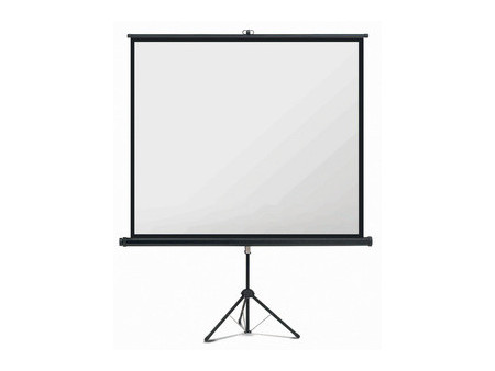 magnetoplan Écran sur pied, (L)1.760 x (H)1.320 mm, 4:3