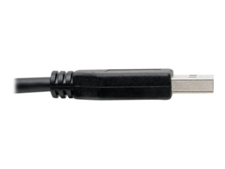 EATON TRIPPLITE USB-C to USB-A Cable M/M