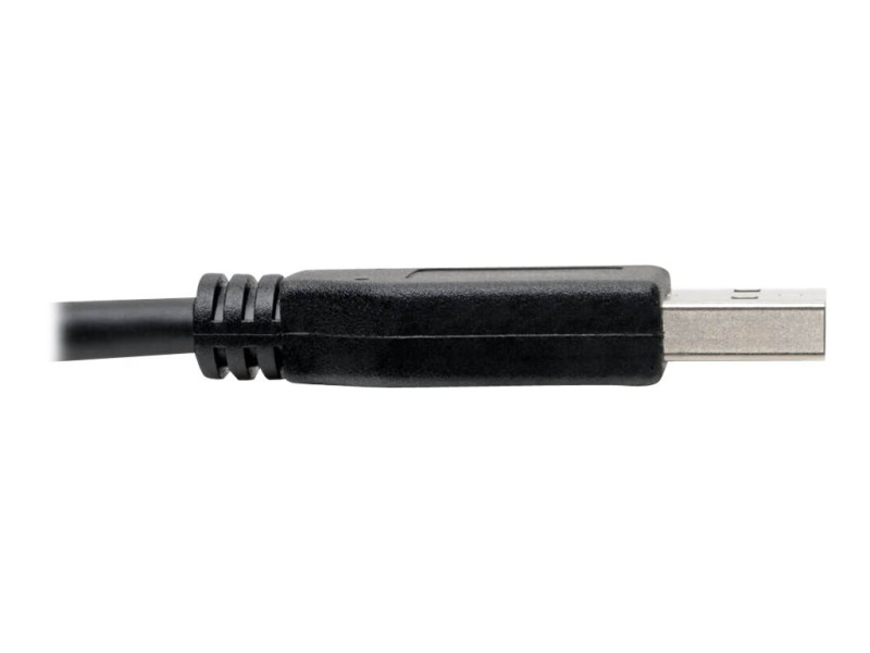 EATON TRIPPLITE USB-C to USB-A Cable M/M
