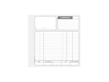 LE DAUPHIN Manifold 'Commandes', 210 x 148 mm, tripli