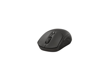 HP 405 Quiet BLK Wireless Mouse (EN)