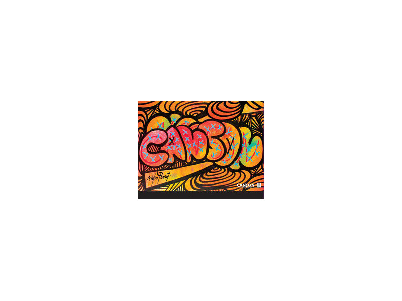 CANSON Carton à dessin Edition artiste, 260 x 330 mm