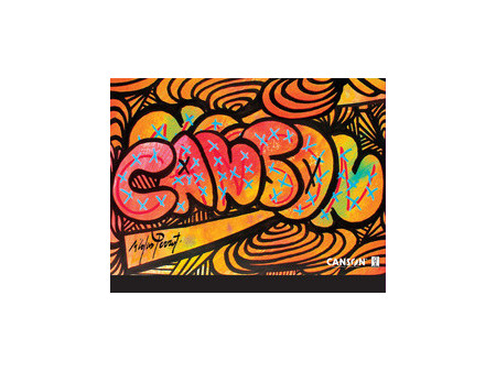 CANSON Carton à dessin Edition artiste, 320 x 450 mm