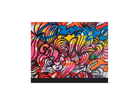 CANSON Carton à dessin Edition artiste, 320 x 450 mm