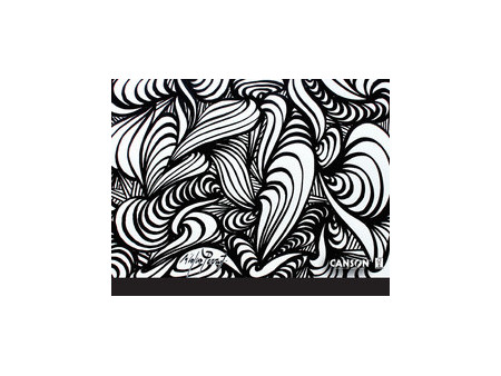 CANSON Carton à dessin Edition artiste, 320 x 450 mm