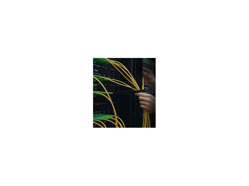 LogiLink Câble patch fibre optique, OS2, 100 m, jaune