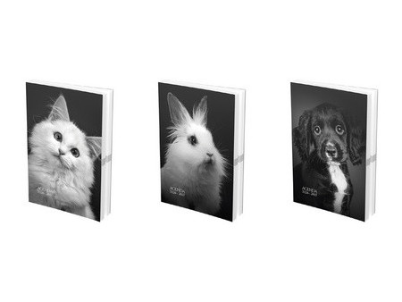 OXFORD Agenda scolaire PRINT ANIMAUX, 2026/2027, assorti