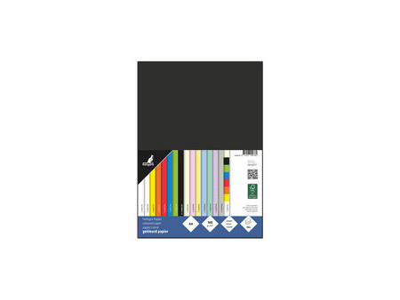 kangaro Papier multifonction, A4, 160 g/m2, vert pâle