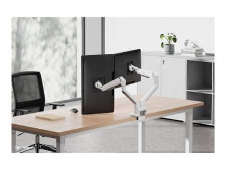 NEOMOUNTS Next Slim Desk Mount double