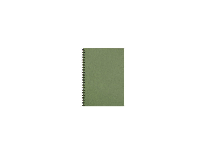 Clairefontaine Carnet à spirale NOMADDICT, A4, tabac