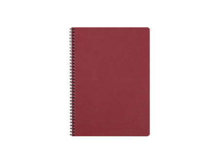 Clairefontaine Carnet à spirale NOMADDICT, A4, tabac