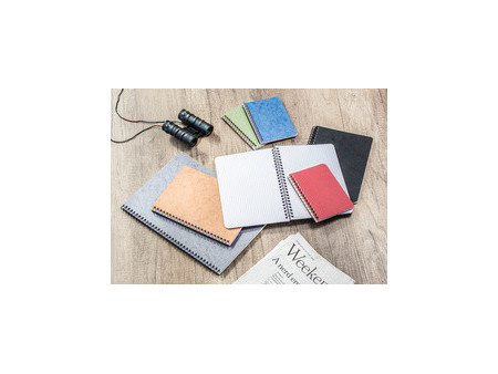 Clairefontaine Carnet à spirale NOMADDICT, A4, tabac