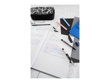 EBERHARD FABER Stylo à plume NXT-Pen, blister, gris/noir