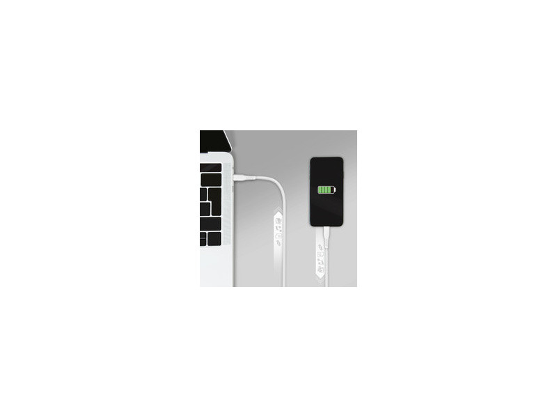 LogiLink Câble USB 2.0, USB-C - micro USB-B, 1,5 m, blanc