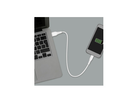 LogiLink Câble USB 2.0, USB-A - USB-C, 1,0 m, blanc