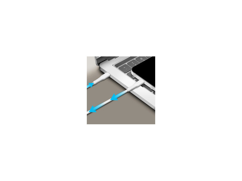LogiLink Câble USB 2.0, USB-C - USB-C, 0,3 m, blanc
