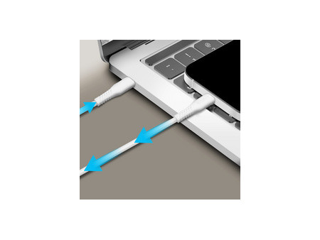 LogiLink Câble USB 2.0, USB-C - USB-C, 2,0 m, blanc