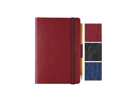 EXACOMPTA Agenda de poche Journal 13 Quadrillé 2027, assorti