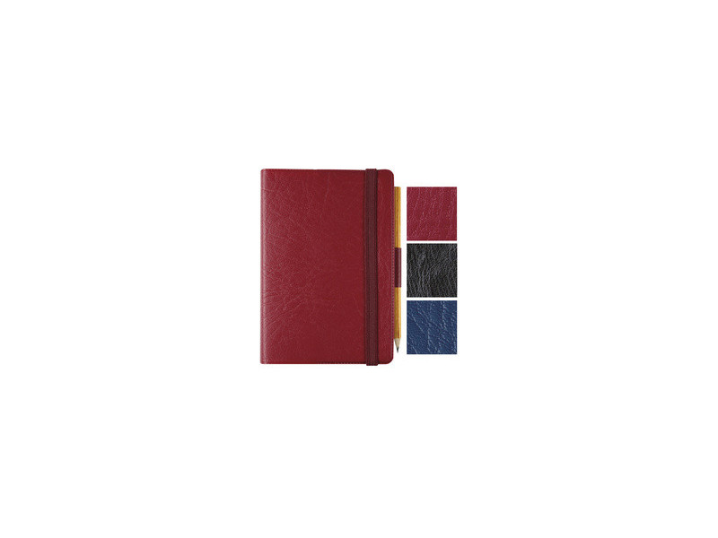 EXACOMPTA Agenda de poche Journal 13 Quadrillé 2027, assorti