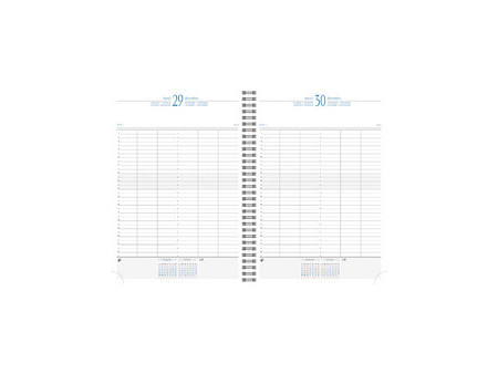 EXACOMPTA Agenda journalier 'Time 29 S', 2027, bleu