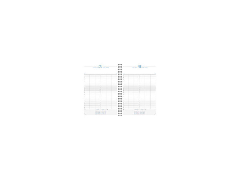 EXACOMPTA Agenda journalier 'Time 29 S', 2027, bleu