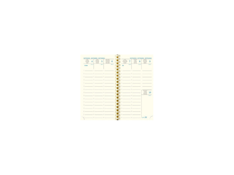 EXACOMPTA Agenda de poche SAD 16S NIL, 2026/2027, 16 mois