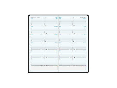 EXACOMPTA Agenda de poche 'SL 17', 2027, Cassandra, assorti
