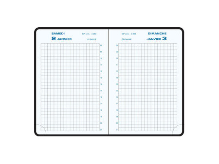 EXACOMPTA Agenda de poche Journal 13 Quadrillé 2027, assorti