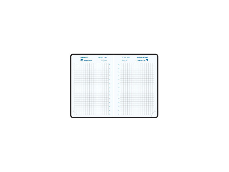 EXACOMPTA Agenda de poche Journal 13 Quadrillé 2027, assorti