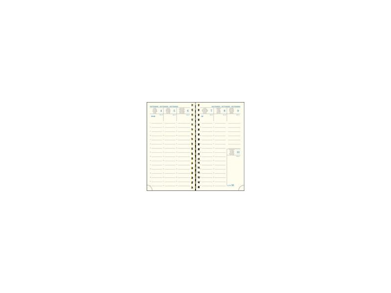 EXACOMPTA Agenda de poche SAD 16S, 2026/2027, 16 mois
