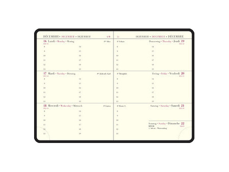 EXACOMPTA Agenda La Semaine Planifiée 13, 2027, Cassandra
