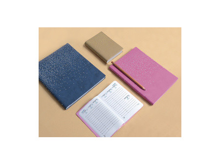 EXACOMPTA Agenda de poche Horizons 13, 2027, Amélie assorti