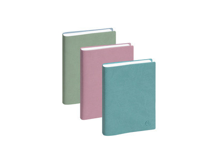 EXACOMPTA Agenda de poche EasyDay 17, 2027, Ondine, assorti