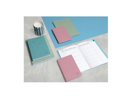 EXACOMPTA Agenda de poche EasyDay 17, 2027, Ondine, assorti