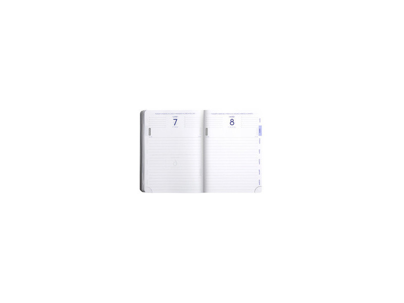 EXACOMPTA Agenda scolaire Kraft, 2026/2027, assorti