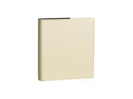 QUO VADIS Agenda 'Exécutif', 160 x 160 mm, 2027, Club sauge